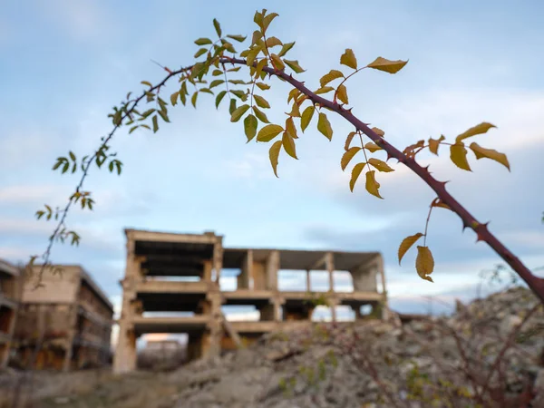 Paysage Avec Ruines Industrielles Coucher Soleil — Photo