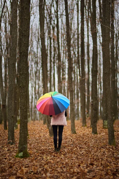 Frau Mit Buntem Regenschirm Spaziert Durch Den Wald — Stockfoto