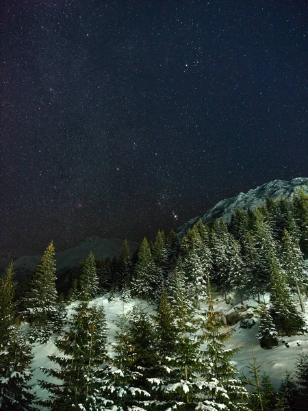 Kış gece gökyüzü — Stok fotoğraf
