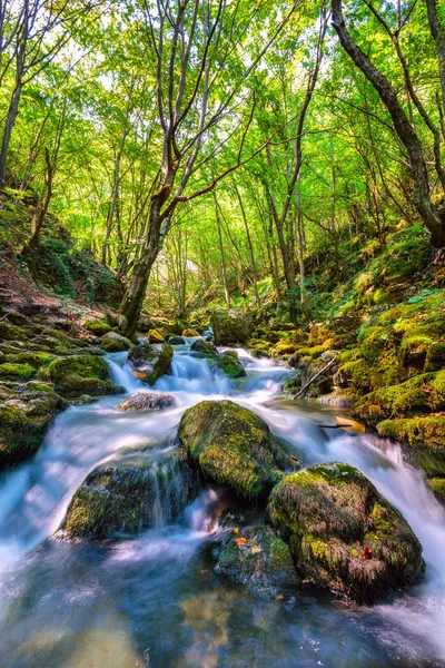 Довгий Експозиційний Ландшафтний Знімок Річкою Через Ліс — стокове фото