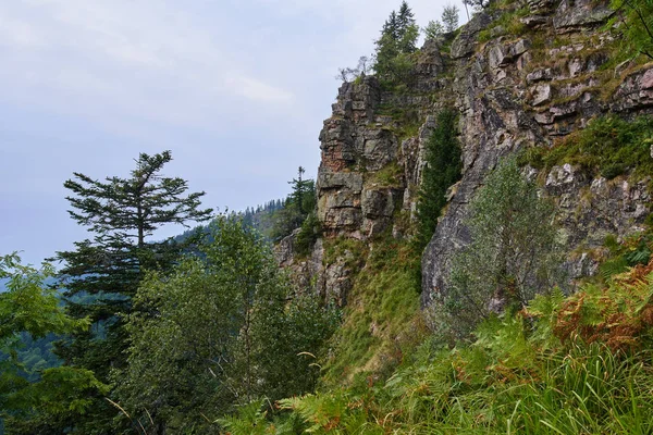 Landschap Met Bergen Naaldbossen Zomer — Stockfoto