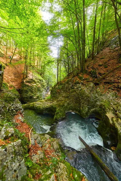 Galbena 河和峡谷在 Apuseni 自然保留 罗马尼亚 — 图库照片