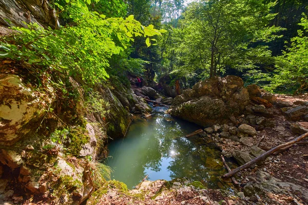 Romanya Galbena nehrinde karstik bahar