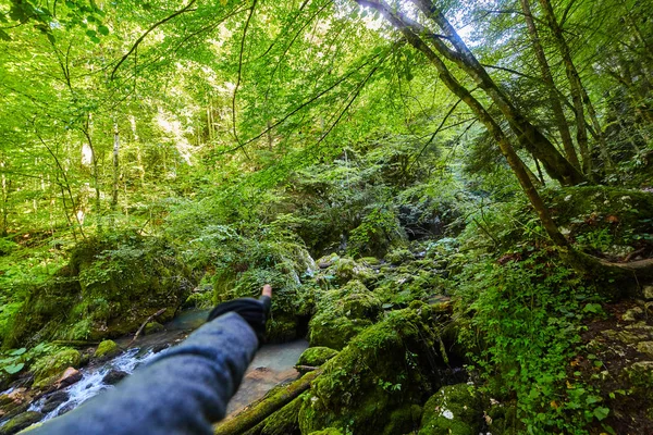 Orman Arka Plan Hiking Izini Gösteren Genç Bir Adamın Elini — Stok fotoğraf