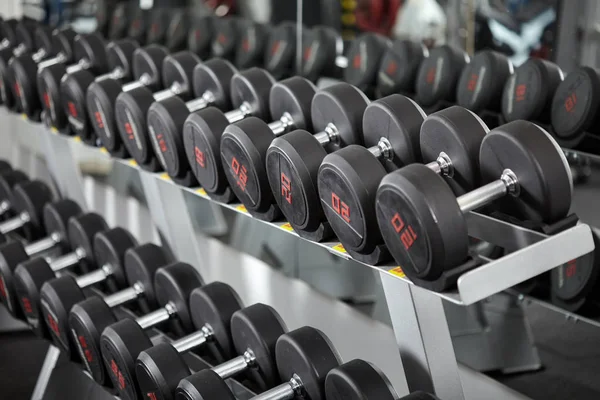 Rows Dumbbells Rack Gym — Stock Photo, Image