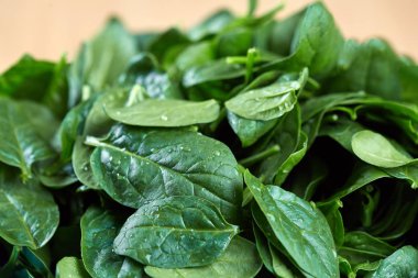 Bebek ıspanak closeup taze aldı ve yıkanmış