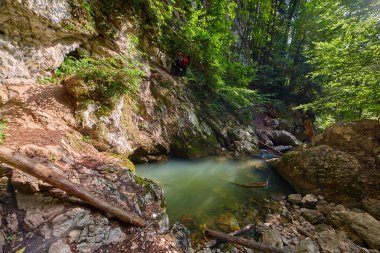 Galbena karstik bahar ve nehirde Apuseni doğal rezerv, Romanya