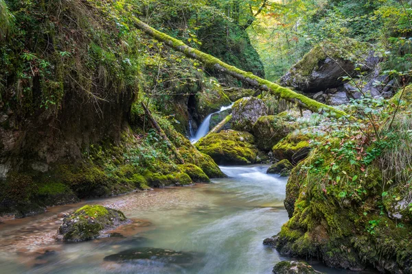 Galbena Річки Ущелини Національному Парку Apuseni Румунія — стокове фото