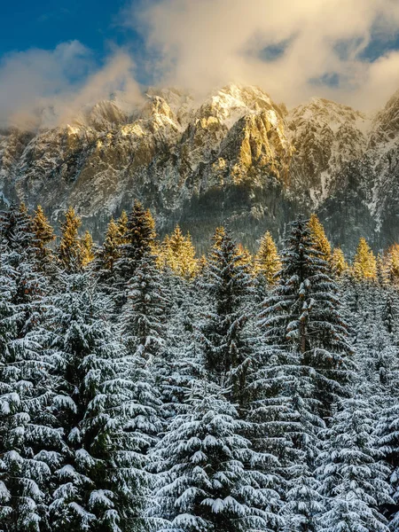 Altas Montañas Empolvadas Nieve Luz Del Atardecer — Foto de Stock