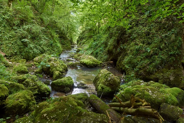 Río Galbena Desfiladero Parque Nacional Apuseni Rumania —  Fotos de Stock