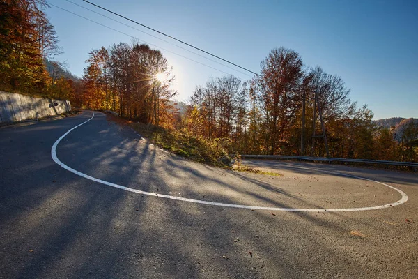 Asfalterad Väg Genom Färgglada Lövskog Höst — Stockfoto