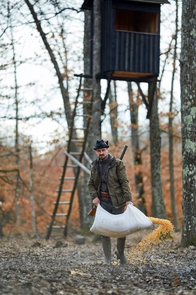 Forest Ranger Spilling Maize Ground Game Feeding Spot — Stock Photo, Image