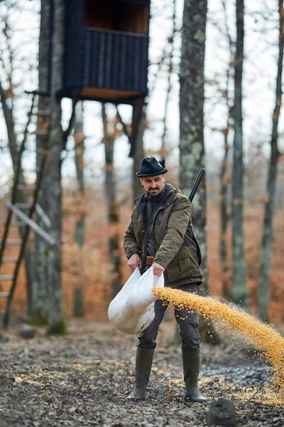 Guardabosques Derramando Maíz Suelo Lugar Alimentación Del Juego — Foto de Stock