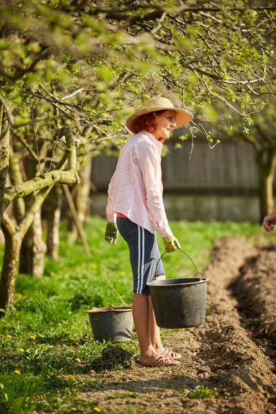 Kvinna Som Bär Hatt Och Handskar Plantera Potatis — Stockfoto