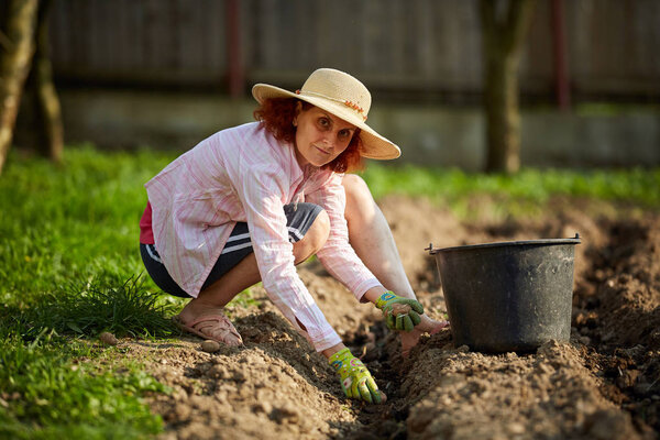 Caucasian farmer woman planting potatoes sitting with bucket of seed tubers, looking at camera