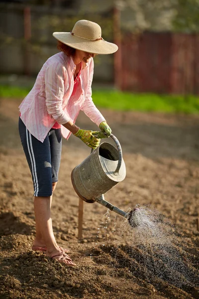 Woman Gardener Hat Watering Freshly Planted Garden Vegetables Full Length — Stock Photo, Image