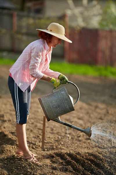 在帽子浇灌的妇女园丁新鲜地种植了庭院与蔬菜 — 图库照片