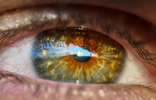 Closeup of vibrant colored male eye