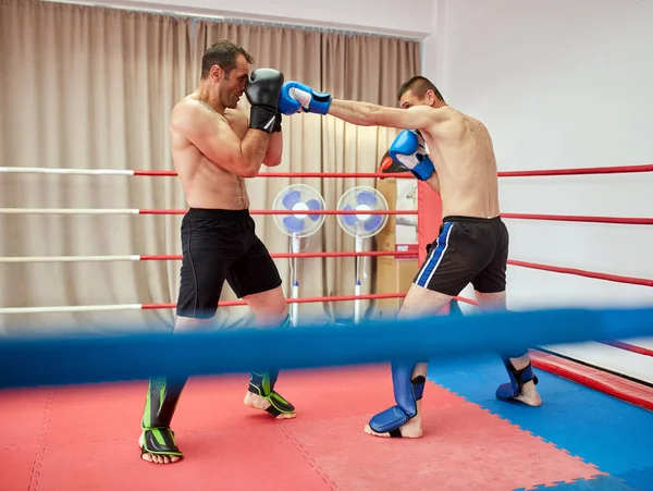 Two kickbox fighters sparring in the ring