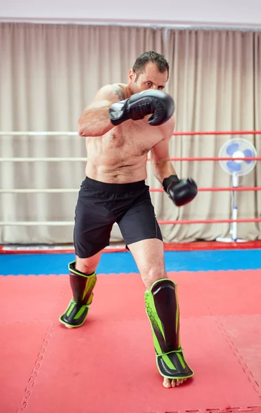 Kickbox Vechter Training Sportschool Selectieve Aandacht — Stockfoto
