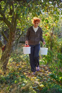 Kırsalda, bahçede çalışan bir kadın.