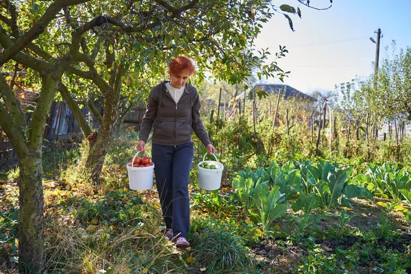 Donna Che Lavora Giardino Campagna — Foto Stock