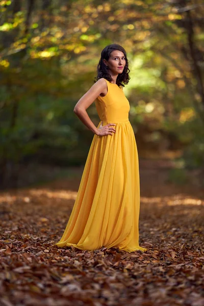 Portret Van Een Mooie Jonge Vrouw Het Bos Met Gevallen — Stockfoto