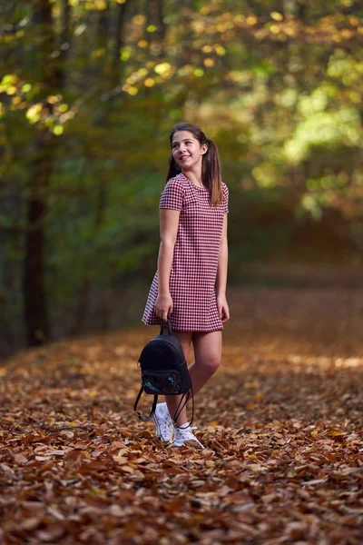 Portret Van Een Schattig Schoolmeisje Wandelen Het Bos Herfst — Stockfoto