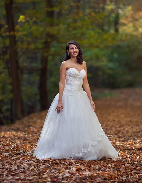 Откровенный Портрет Красивой Невесты Свадебном Платье Лесу — стоковое фото