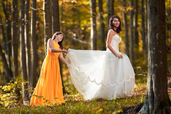 Красивая Невеста Подружка Невесты Лесу — стоковое фото