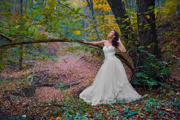 森林里穿着婚纱的漂亮新娘的肖像 — 图库照片
