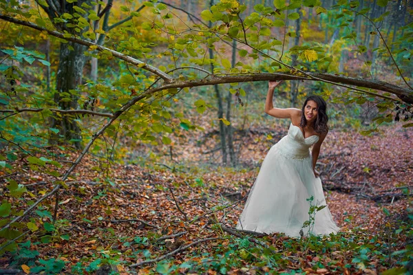 Ormanda Gelinliğiyle Güzel Bir Gelinin Samimi Portresi — Stok fotoğraf