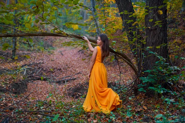 Ragazza Adolescente Abito Giallo Nella Foresta — Foto Stock