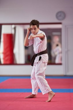 Genç çocuk karate pratisyeni bir kata infaz ediyor.