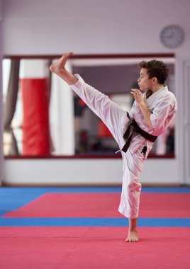 Genç çocuk karate pratisyeni bir kata infaz ediyor.