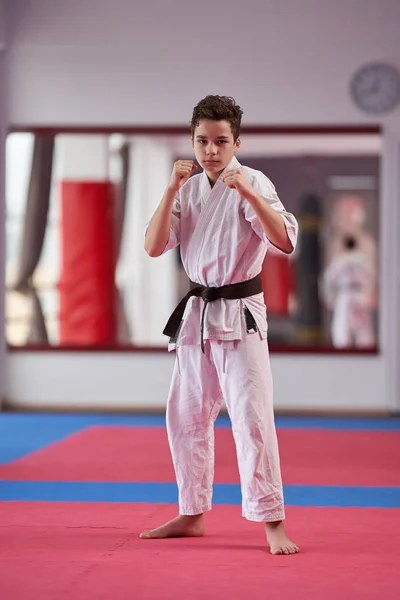 Mladý Chlapec Karate Praktik Poprava Kata — Stock fotografie
