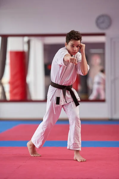 Joven Practicante Karate Ejecutando Una Kata —  Fotos de Stock