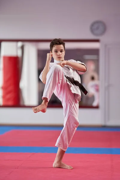 Junge Karate Praktiker Führt Eine Kata Aus — Stockfoto