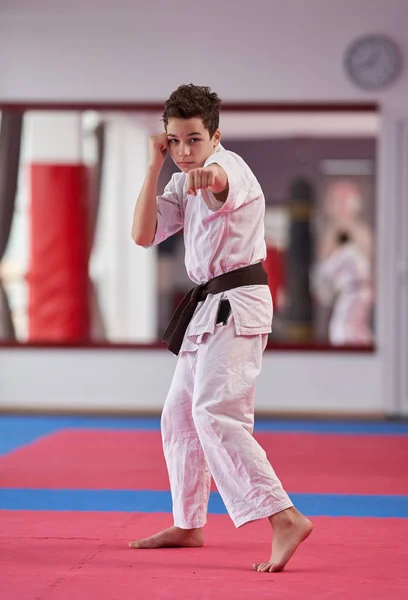 Jonge Jongen Karate Beoefenaar Executeren Van Een Kata Stockafbeelding