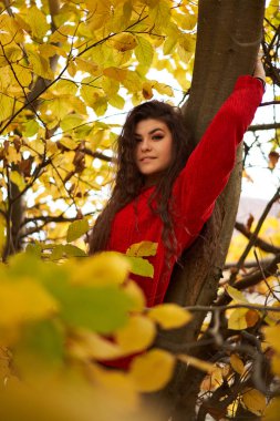 Çekici genç bir kadının sezonluk portresi.