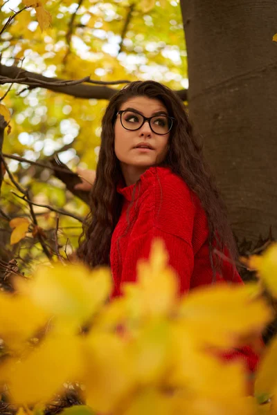 Seizoensgebonden Portret Van Een Aantrekkelijke Jonge Vrouw Buiten — Stockfoto