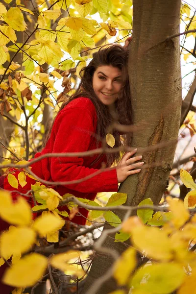 Retrato Estacional Una Atractiva Joven Aire Libre — Foto de Stock