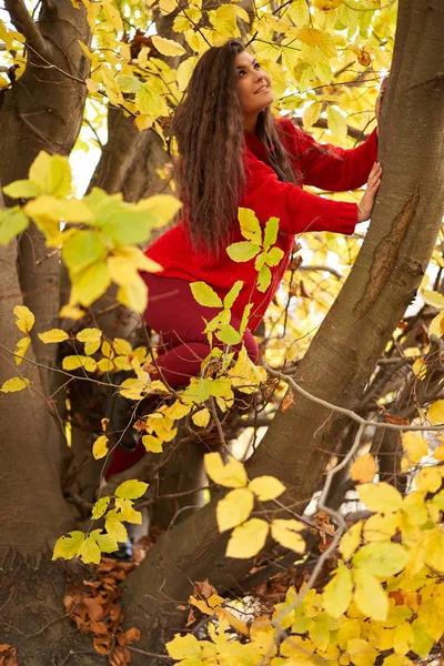 Seasonal Portrait Attractive Young Woman Outdoor — Stock Photo, Image