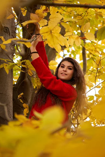 Ritratto Stagionale Una Giovane Donna Attraente All Aperto — Foto Stock