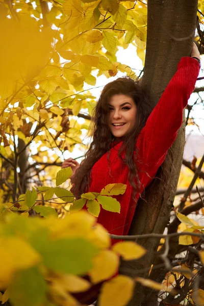 Ritratto Stagionale Una Giovane Donna Attraente All Aperto — Foto Stock