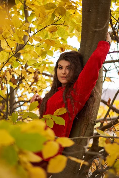 Saisonporträt Einer Attraktiven Jungen Frau Freien — Stockfoto