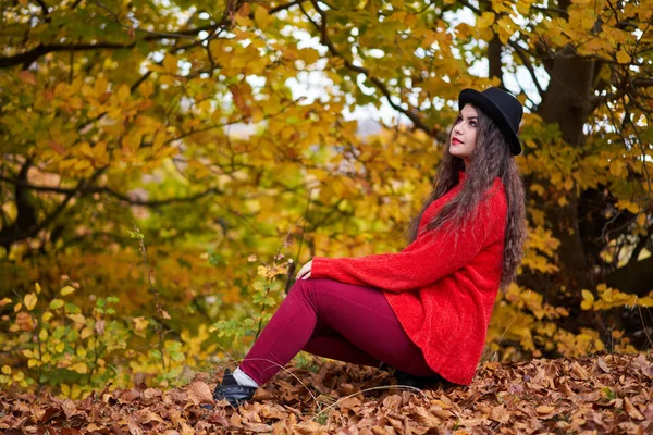 魅力的な若い女性の屋外の季節の肖像画 — ストック写真