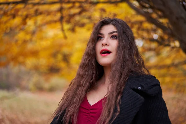 Retrato Estacional Una Atractiva Joven Aire Libre — Foto de Stock