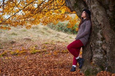 Sonbahar ormanlarında yaşayan güzel bir İspanyol genç kadının portresi.