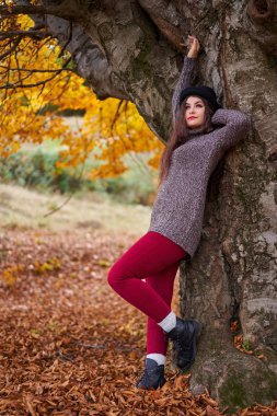 Sonbahar ormanlarında yaşayan güzel bir İspanyol genç kadının portresi.
